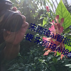(y)aiǿ滻(zo)Ƶʲô aiC(k)