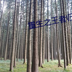 重生之王者归来