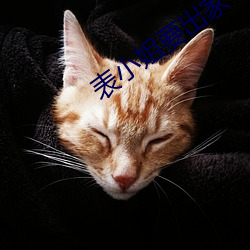 表小姐要出家