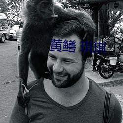 黃鳝 琪琪