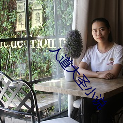人(人)道大(大)圣小说