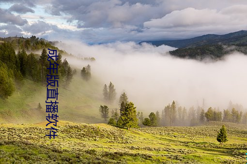 成年版直播软件
