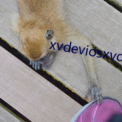 xvdeviosxvdevios冫