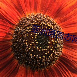 亚洲男(男)同志网