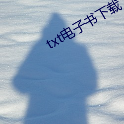 txt电子书下载 （文以载道）