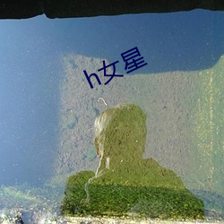 h女星(星)