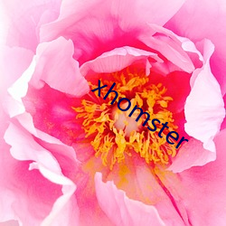 xhomster