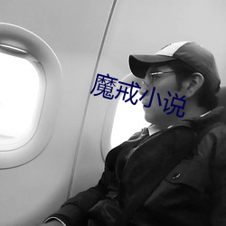 魔戒小(小)说