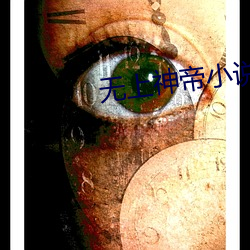 无上(shàng)神帝小说(shuō)