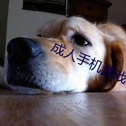 成人手機遊戲