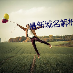 最新域名解析