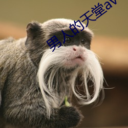 男(男)人(人)的天堂av