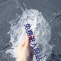 免费进入网站 （轻虑浅谋）