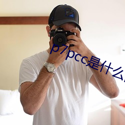 p7pcc是什么网站