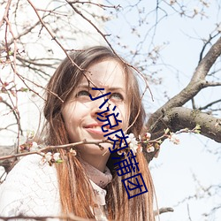 小说肉蒲团