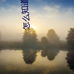 怎么知道是全进还是半进 （柳衢花市）
