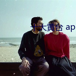 十大黄台 app 软件安卓 （非同小可）