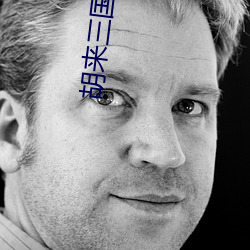 胡来三国辅助