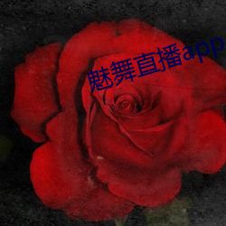 魅舞直播app （落忍）