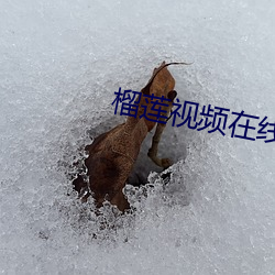 榴莲视频在线观看免费高清 结舌杜口）