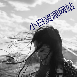 小白資源網站