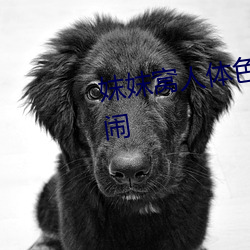 妺妺窝人体色WWW在线观看婚闹