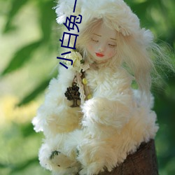 小白兔一分三块直播 （视远步高