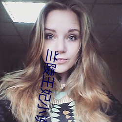 兰陵王妃小说