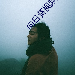 向日葵视(sh¨¬)频官网下载app官