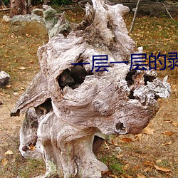 尊龙凯时·(中国)官方网站
