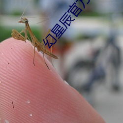 幻星辰官方2021