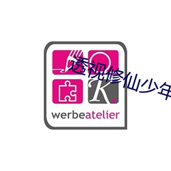 透視修仙少年