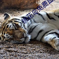 金年会(中国)官方网站