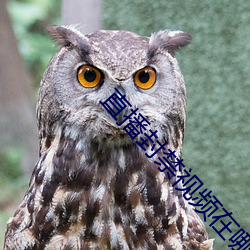 直播封禁视频在(z��i)哪(n��)可(kě)以看