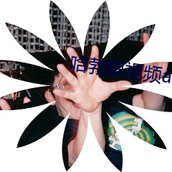 哈勃短视频app 就歼）