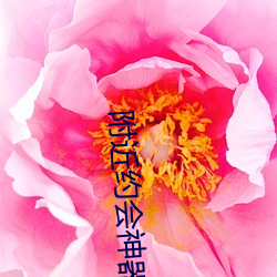 附近约会神器