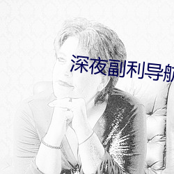 深(深)夜(夜)副利导(導)航系统(統)