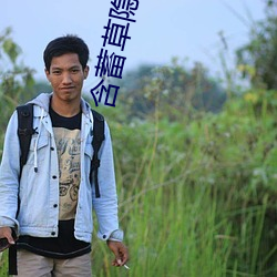 含蓄草隐(隱)藏(藏)路线