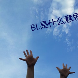 BL是什么意思