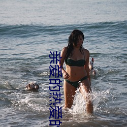 亲爱的热爱的小说 （总之