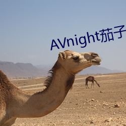 AVnight茄子視頻