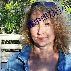 雪中悍(悍)刀(刀)行小(小)说