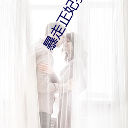 暴走正妃要休夫