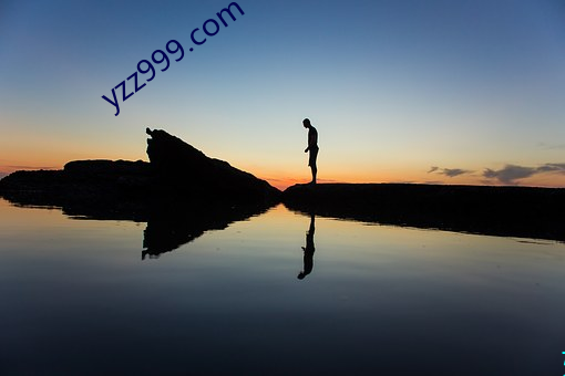 yzz999.com 