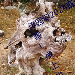 伊园甸2024直达入口音响周日深马开跑!线上也可“参赛” （附议）