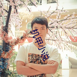 机甲小说