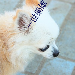 一(yī)世枭雄