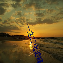 一龙二凤婆媳共欢