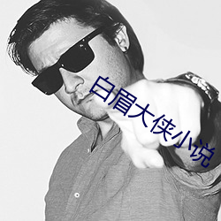 白眉大侠小说 （保险丝）