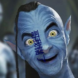 哥(gē)我错了